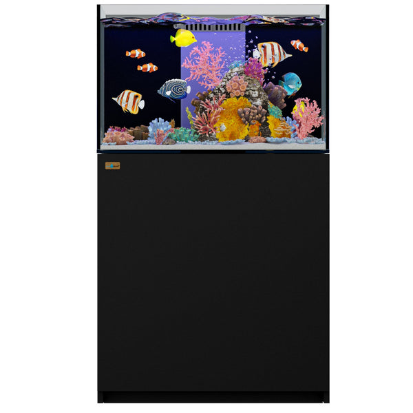 small saltwater tank