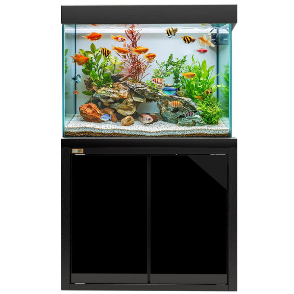 Fish Tank For Sale