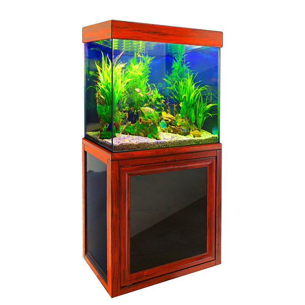 saltwater fish tank small