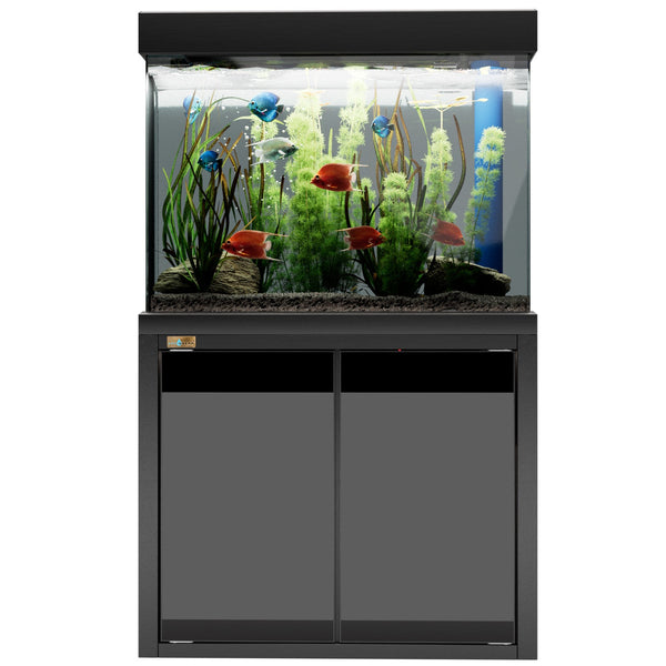 50 Gallon Fish Tank