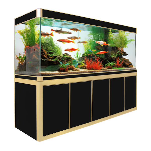 coral fish tanks