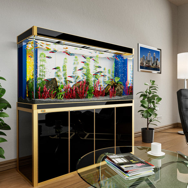 Aquarium For Sale