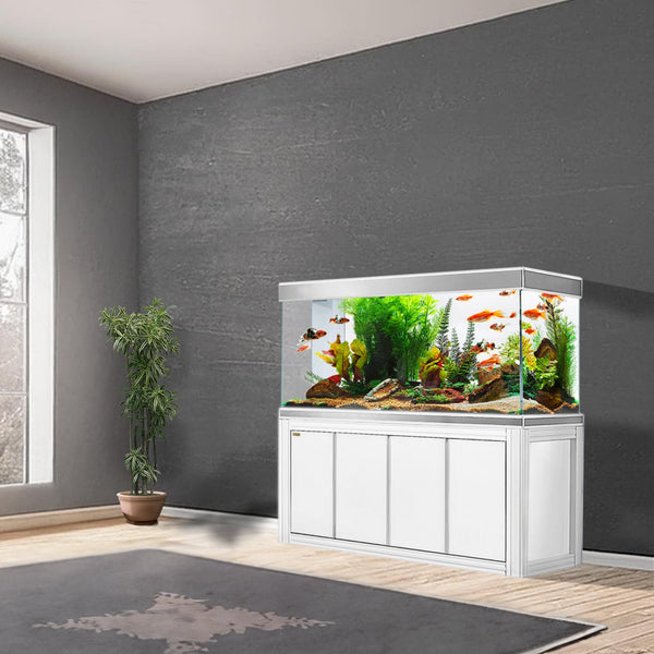 Glass Aquarium