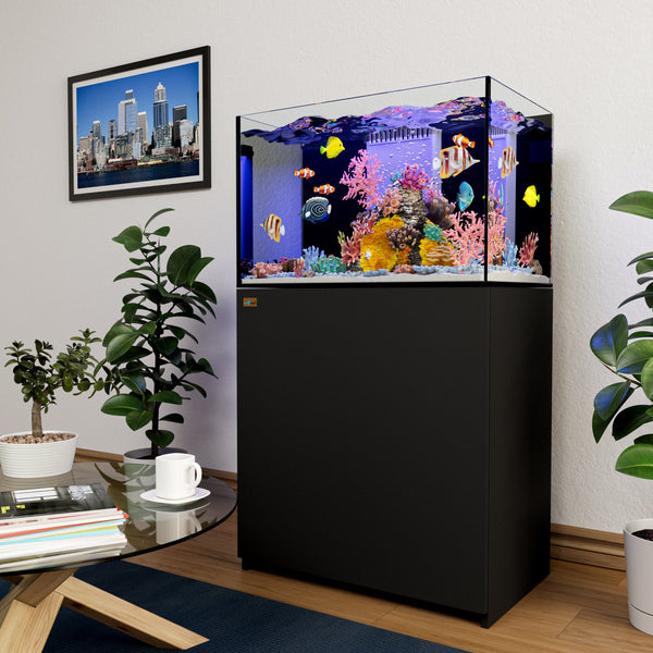 seawater fish tank