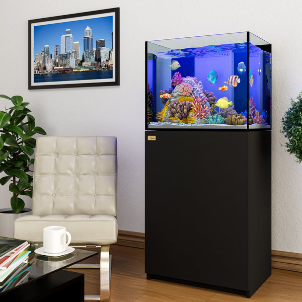 small fish tank with filter