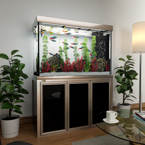 150 gallon tank