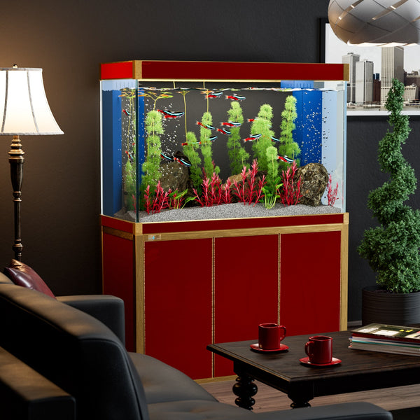 fish stand and tank