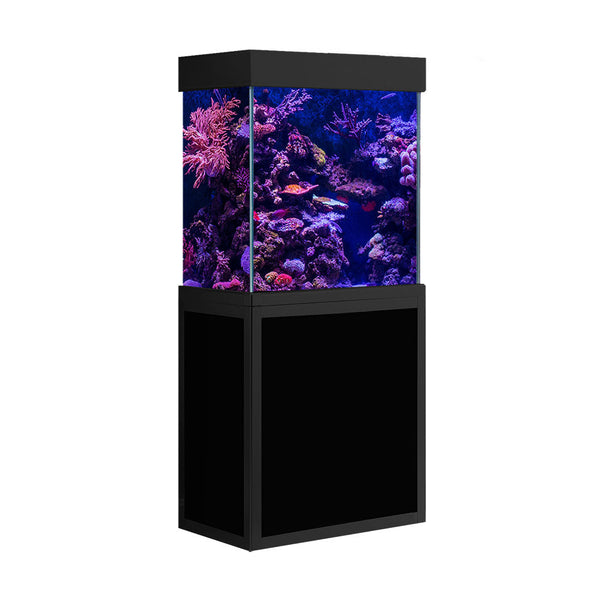 fish tanks and aquariums 55 gallon