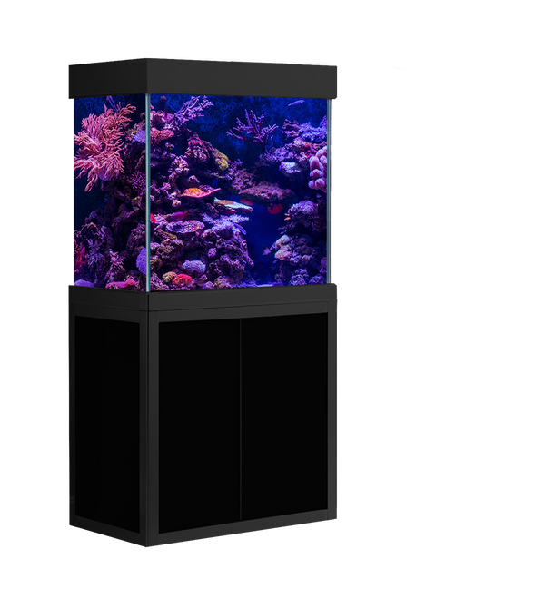 55 gallon aquarium specs