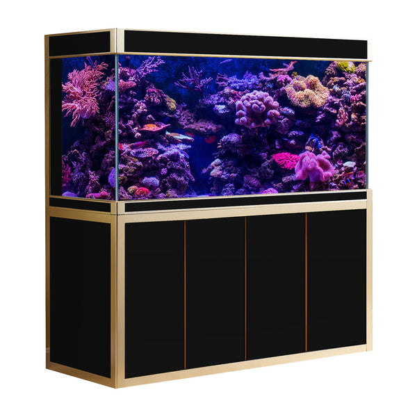 fish tanks reddit