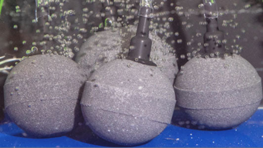 aquarium bubble stone