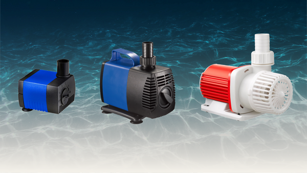 Pump In Fish Tank