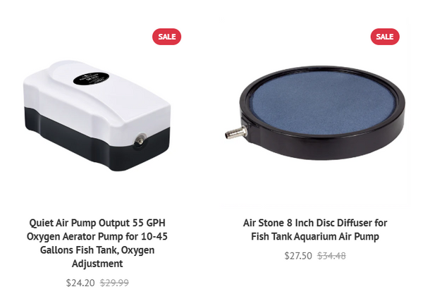 air stone