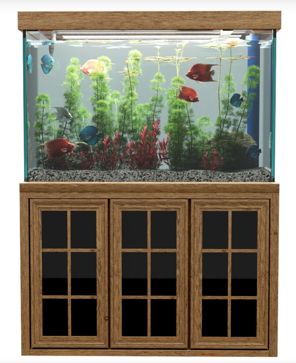 200 gallon tank