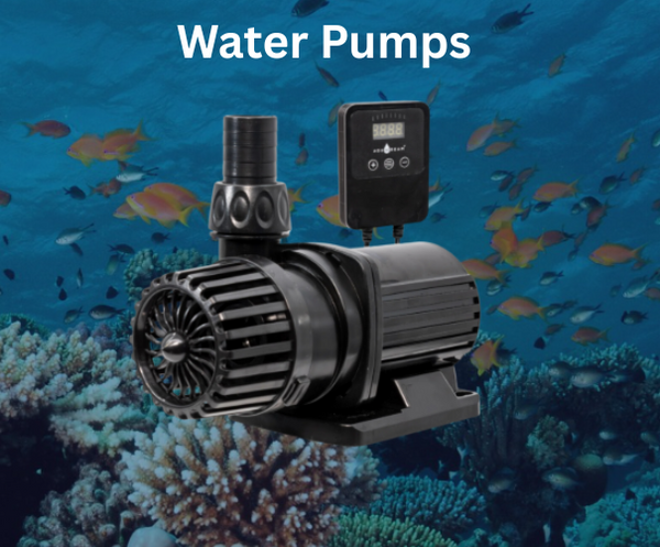 water fountain and pump