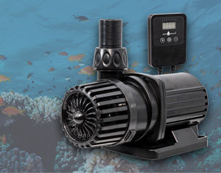 Water Tank Pump