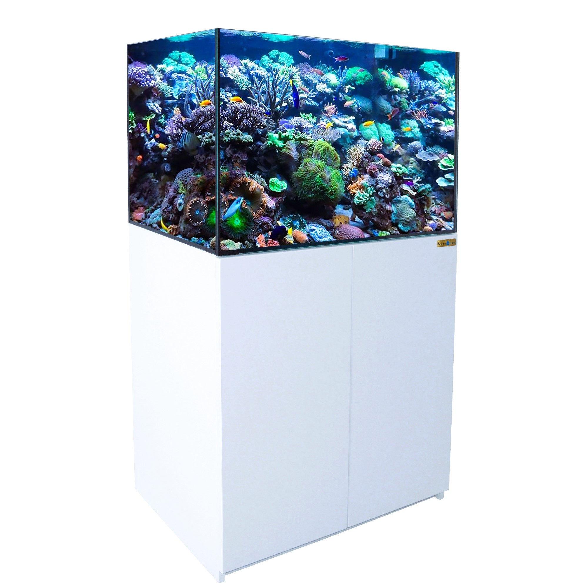 100 Gallon Coral Reef Aquarium Ultra Clear Glass Tank & Built in Sump White