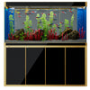 Aqua Dream 250 Gallon Tempered Glass Aquarium Black and Gold