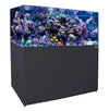 Aqua Dream 235 Gallon Tempered Glass Aquarium Black Premium