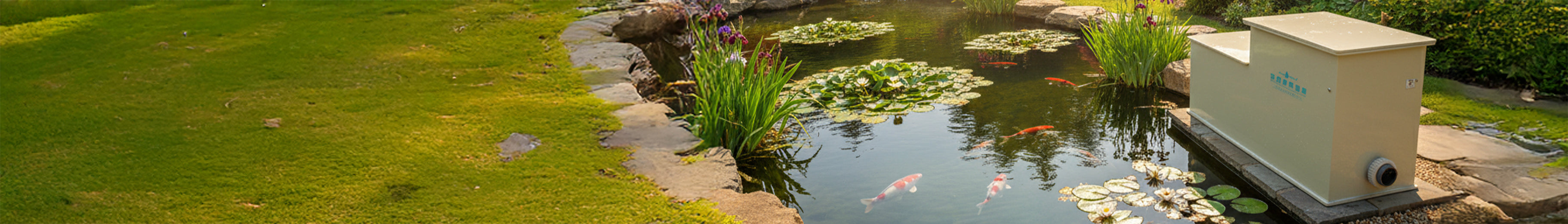 custom-slideshow-image-desktop-block_XF9kgm