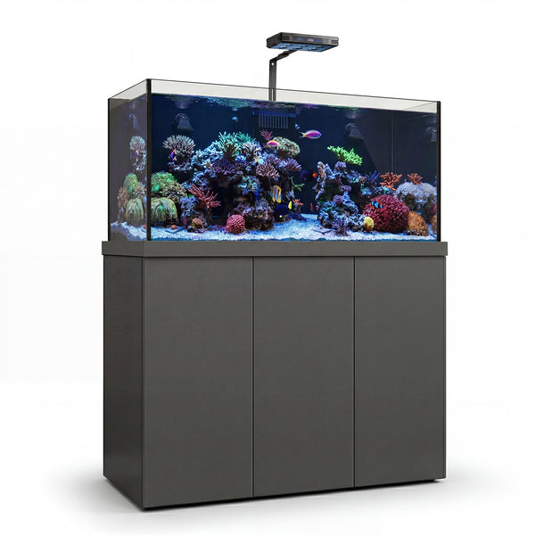 fish tank with all accessories Planet Black Elegance Cabinetry Aqueon 150 RR (Coventry, RI) this stand supports up to 250 lbs (20 gallons) while blending rustic farmhouse charm with modern durability Entryway Fish Tank Unikito 20-29