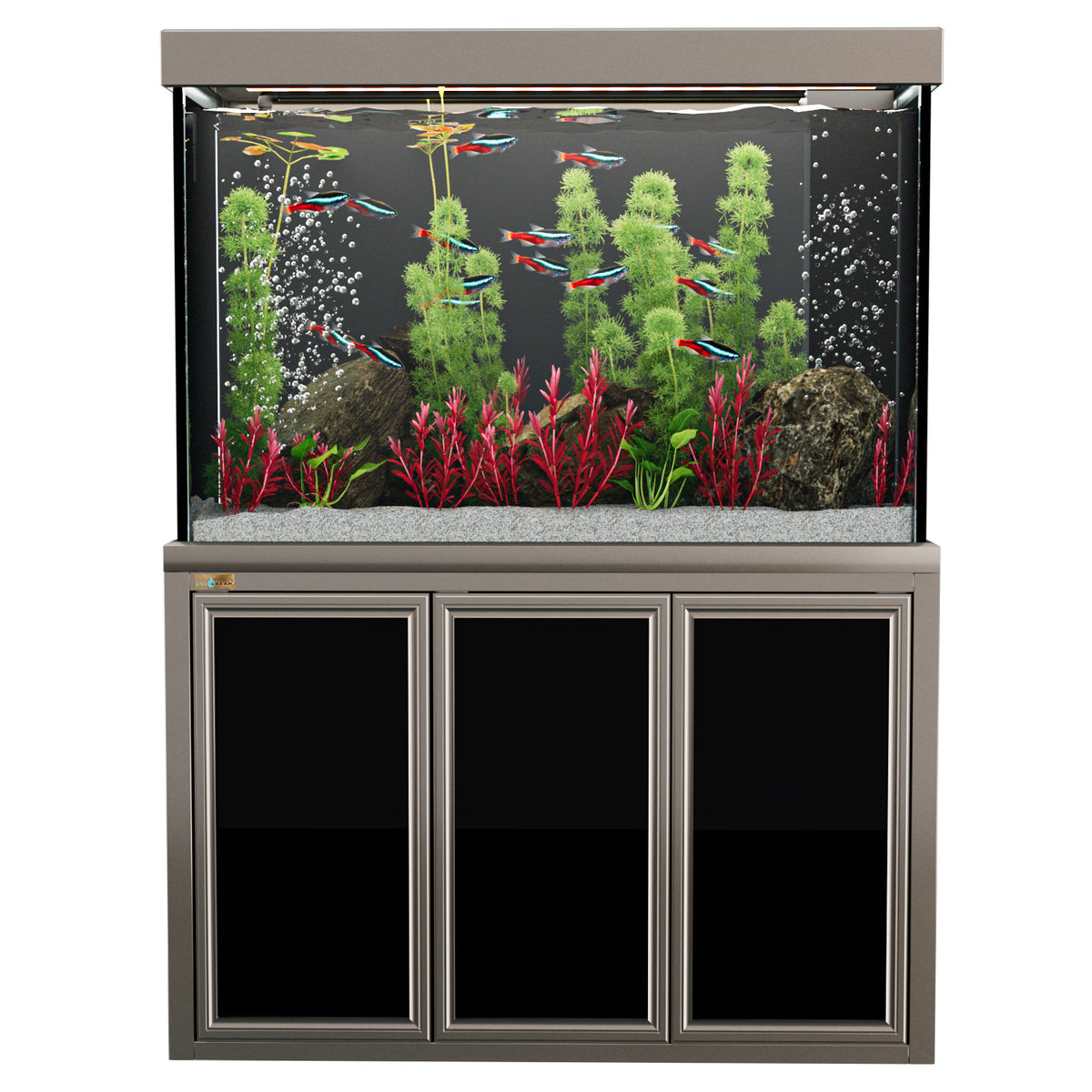 Huge Fish Tanks for Sale – Large Aquariums for Homes & Businesses