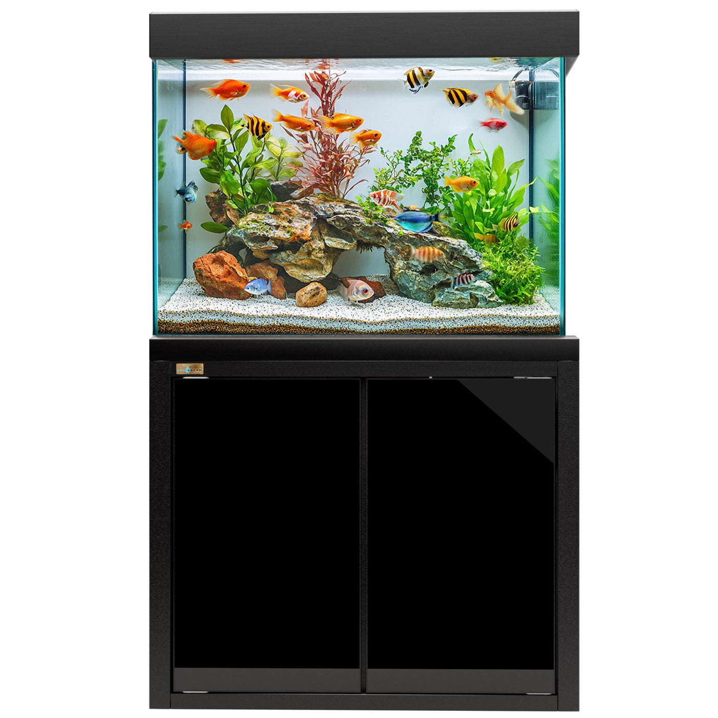 A closer look at Budget Aquariums With Built In Pumps