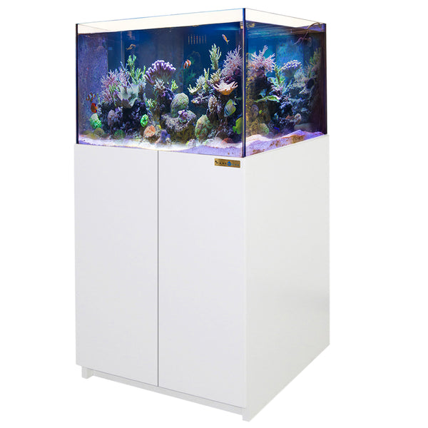 115 Gallon Coral Reef Aquarium Ultra Clear Glass Tank & Built in Sump All White