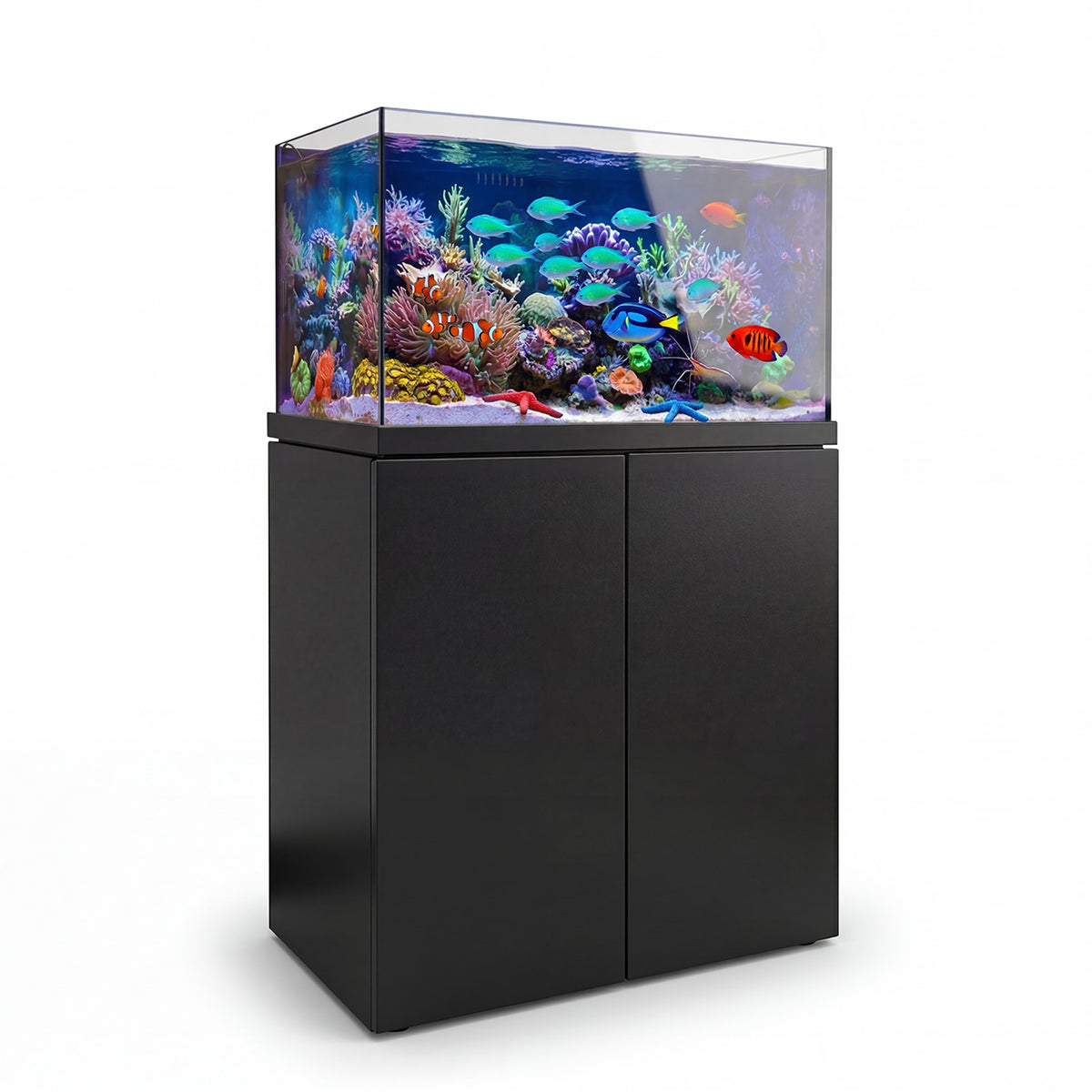 black box clean fish tank Aqua Dream Coral Reef Aquarium Tempered Glass 90 Gallon Complete Set including one Coral light and also comes with makau statue Abu Garcia Max X Model:CU200K