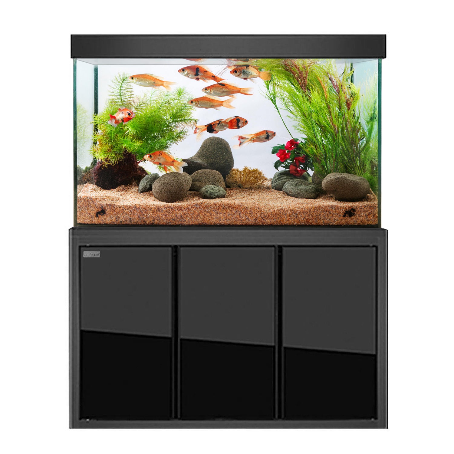 black box clean fish tank Aqua Dream 135 Gallon Tempered Glass Aquarium Black