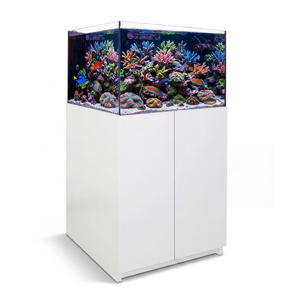 115 Gallon Coral Reef Aquarium Ultra Clear Glass Tank & Built in Sump All White