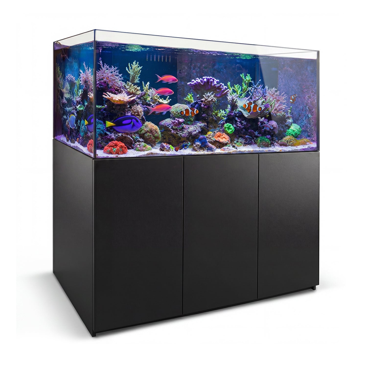 220 gallon aquarium with stand and sump