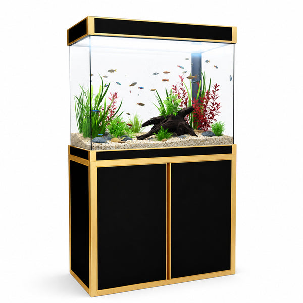 Aqua Dream 100 Gallon Tempered Glass Aquarium Black and Gold