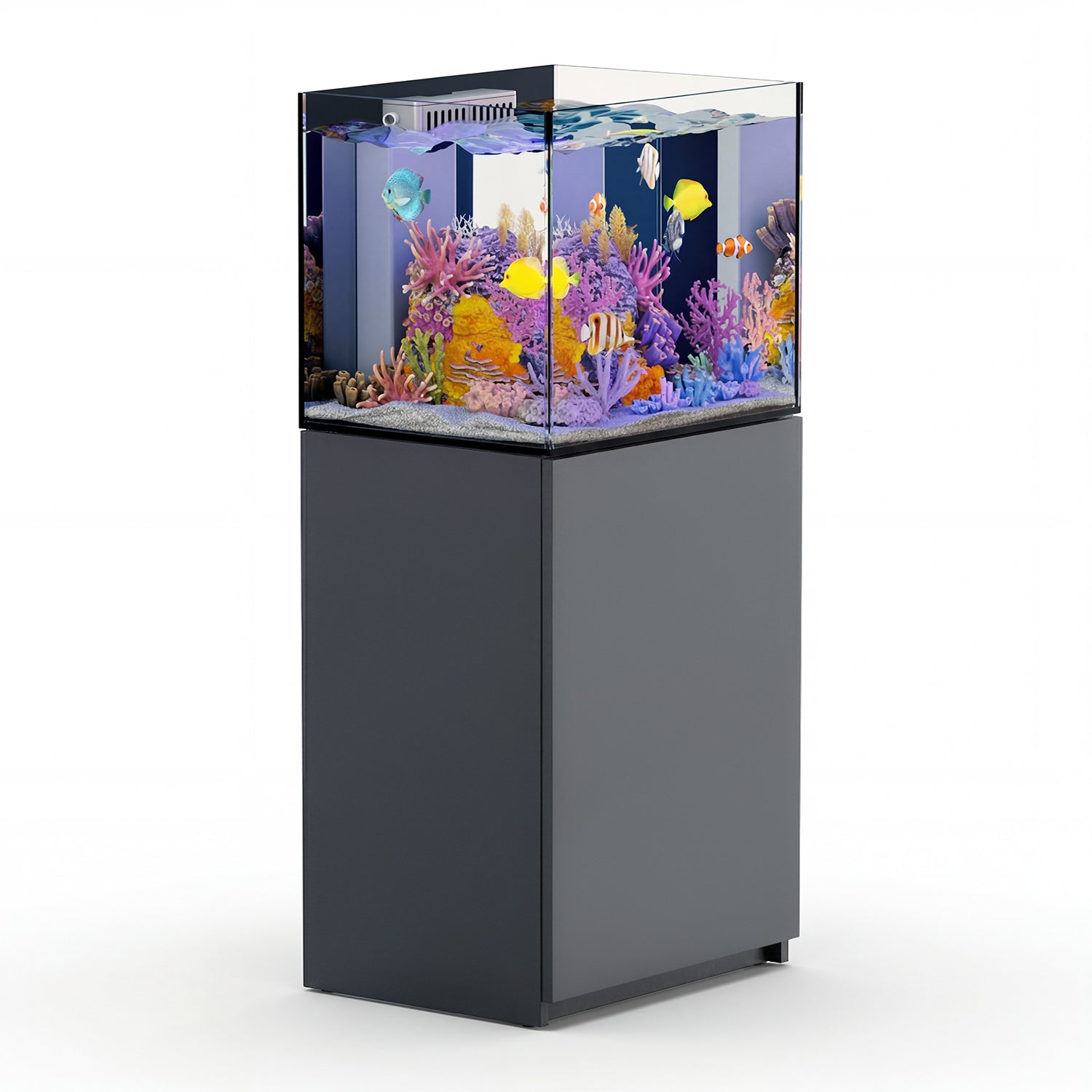 silver rimless aquarium