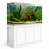 Aqua Dream 145 Gallon Tempered Glass Aquarium White and Silver with Premium Filtration System