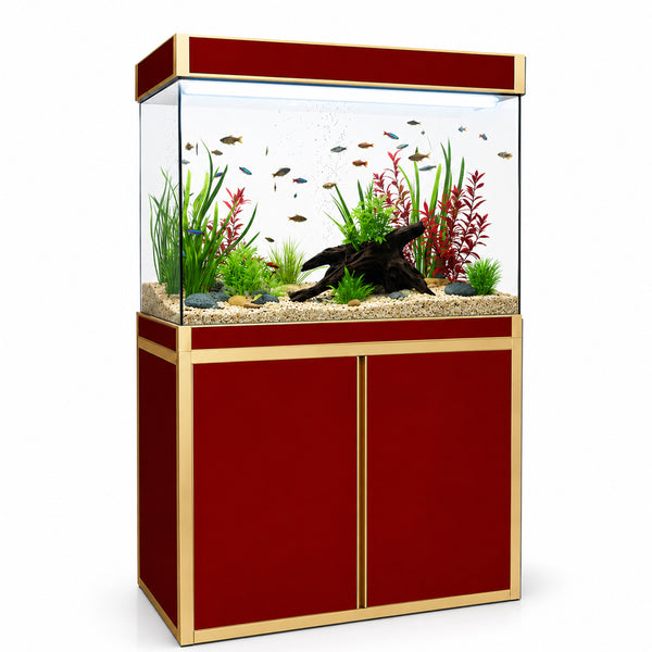 Aqua Dream 100 Gallon Tempered Glass Aquarium Red and Gold