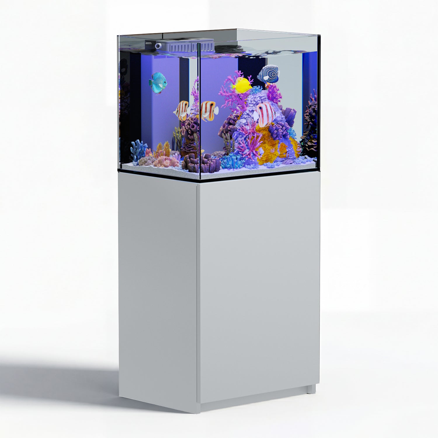 63 gallon aquarium