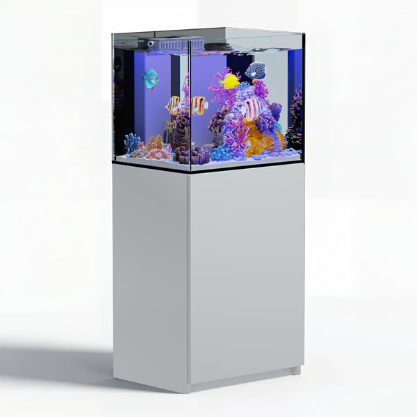 63 gallon aquarium