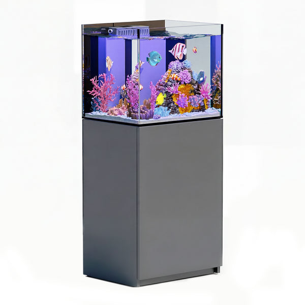 silver rimless aquarium