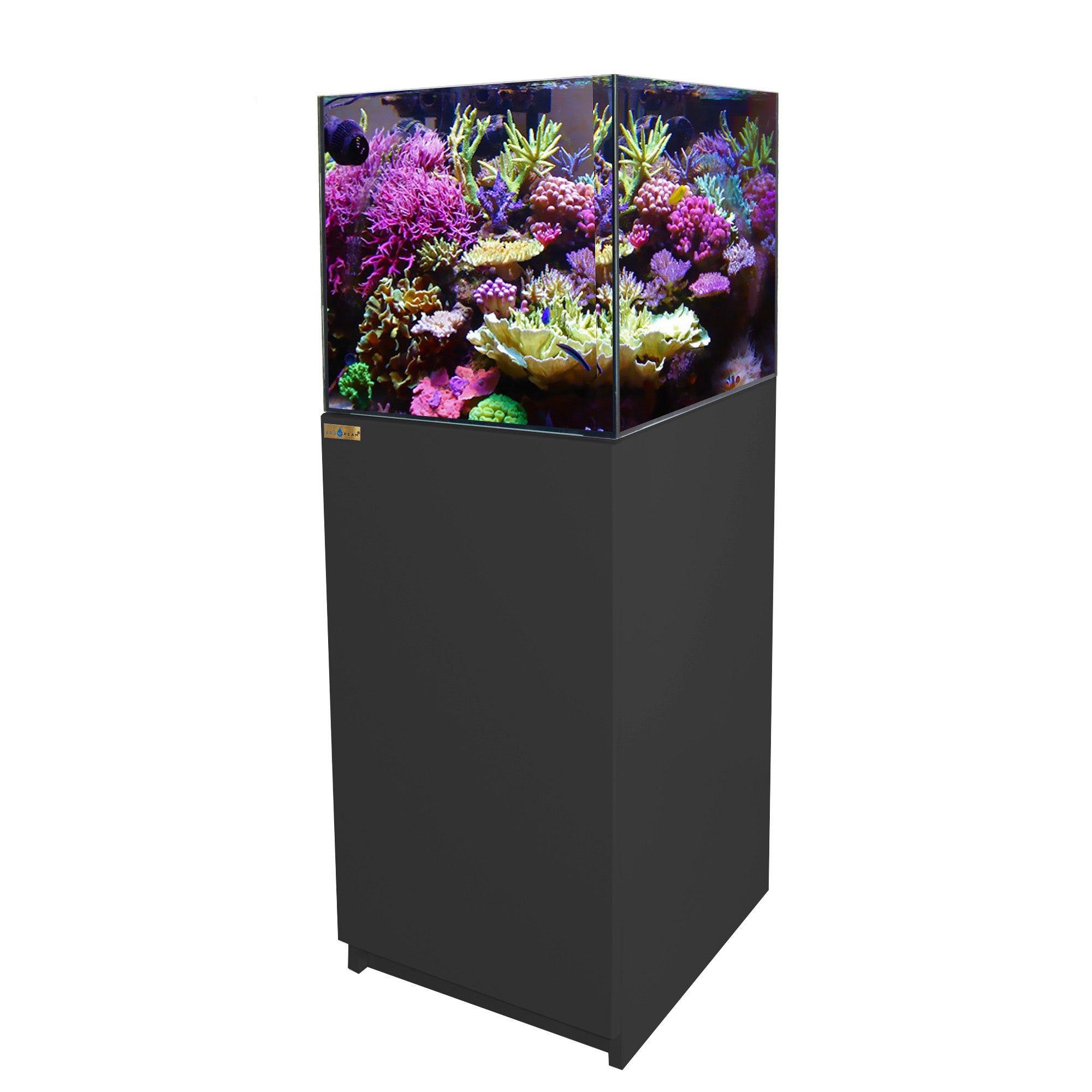 37 Gallon Coral Reef Aquarium Ultra Clear Glass Tank & Built in Sump All Black