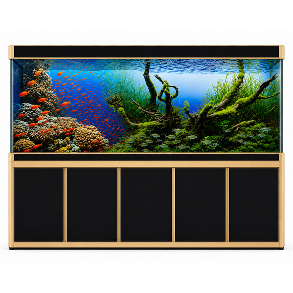 Aqua Dream 400 Gallon Tempered Glass Aquarium Black and Gold  - Updated