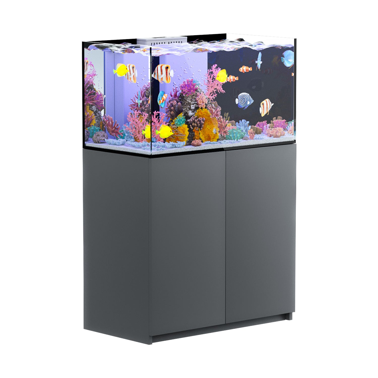 100 gallon aquarium with stand and sum