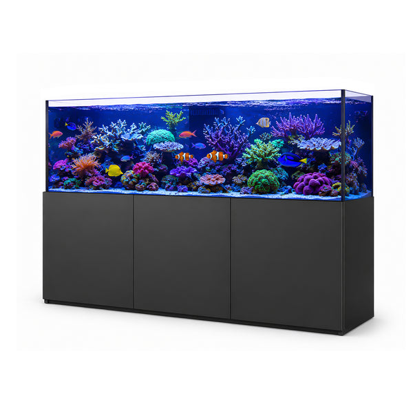250 Gallon Tank Coral Reef Aquarium Ultra Clear Glass & Built in Sump - UPDATE