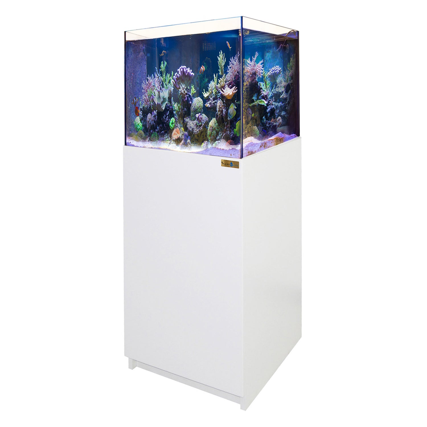 50 Gallon Coral Reef Aquarium Ultra Clear Glass Tank & Built in Sump All White