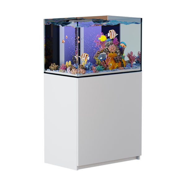 90 gallon reef aquarium