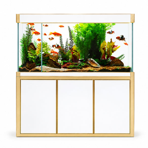 Aqua Dream 175 Gallon Tempered Glass Aquarium White and Gold