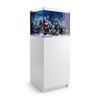 37 gallon aquarium