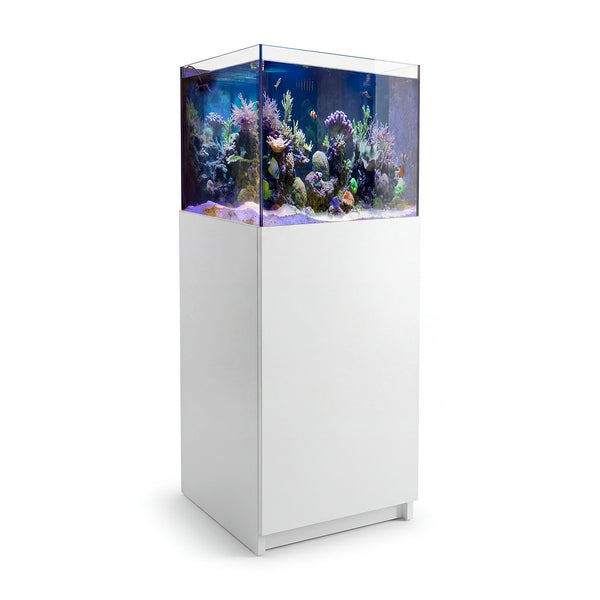37 gallon aquarium