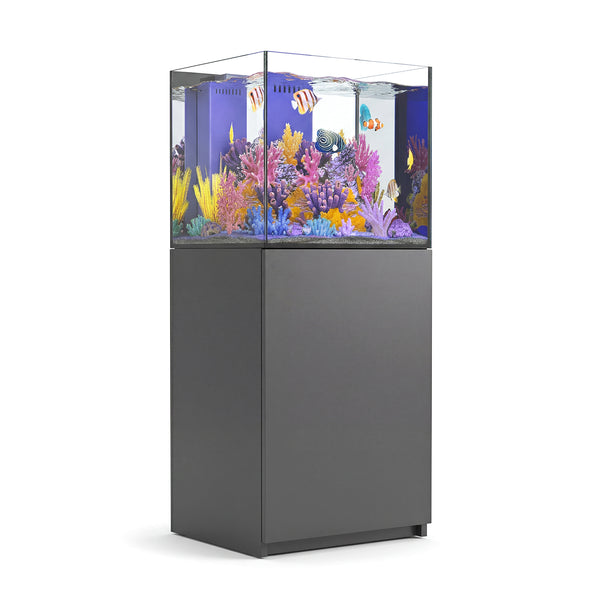 37 gallon aquarium