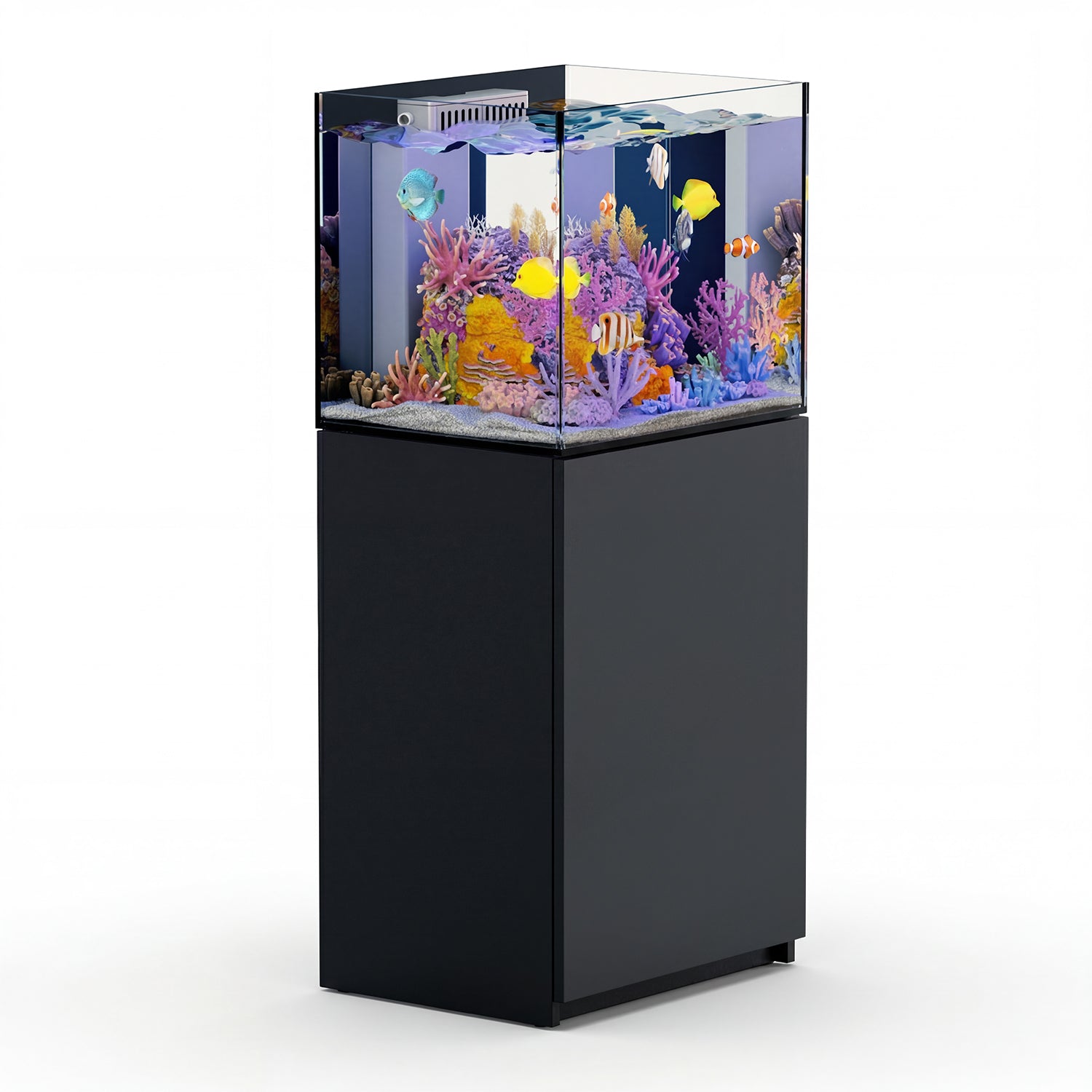37 gallon aquarium